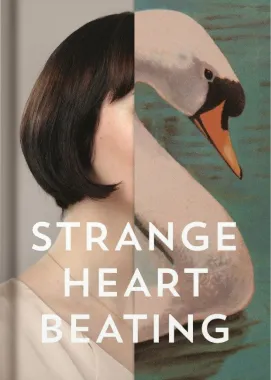 book-publishing image 5
